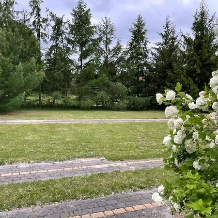 Wejsunka Wejsuny